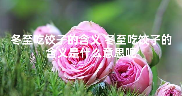 冬至吃饺子的含义 冬至吃饺子的含义是什么意思呢
